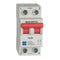 Lewden GMS1002P 100A DP Main Switch